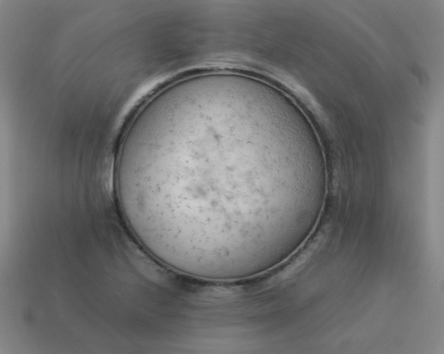 X0000114061224200910191454