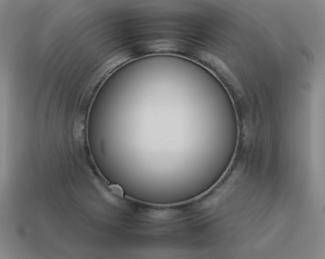 X0000114061225200910191454