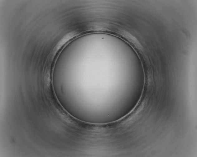 X0000114061226200910191454