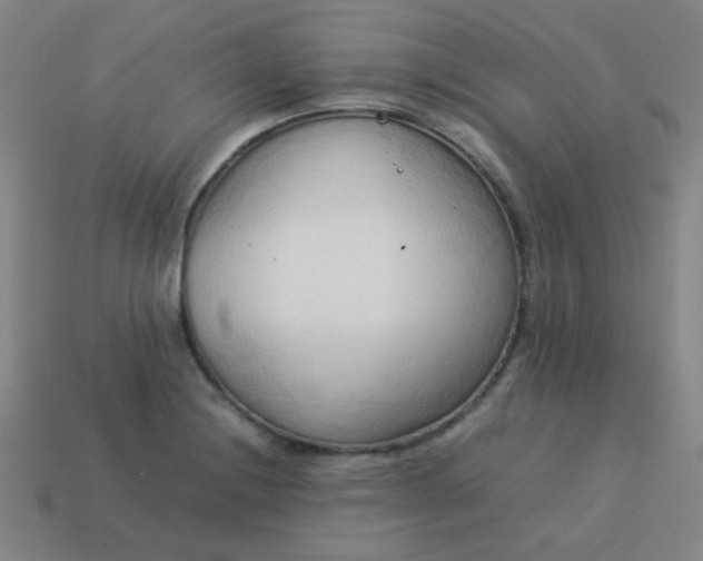 X0000114061228200910191454