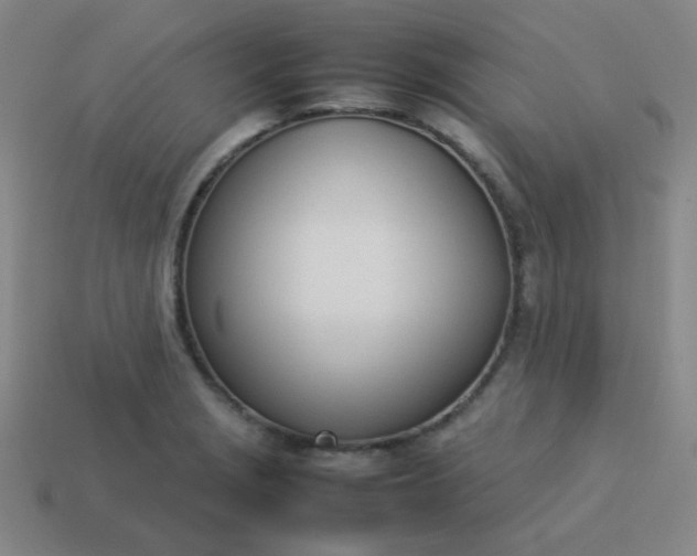 X0000114061229200910191454