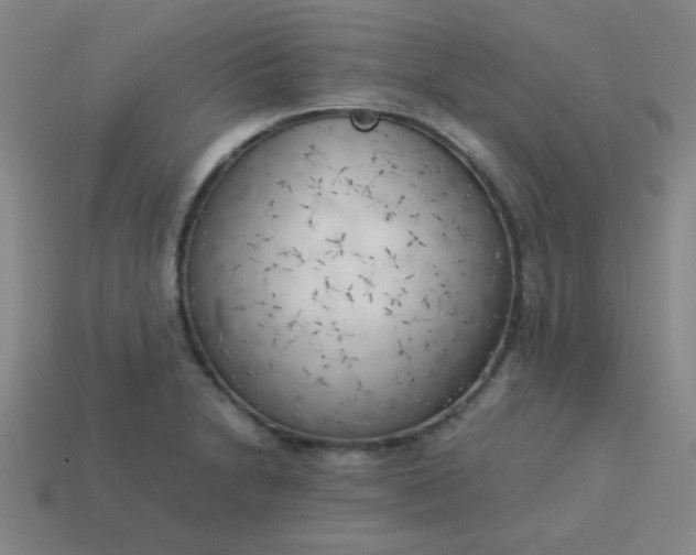 X0000114061230200910191454