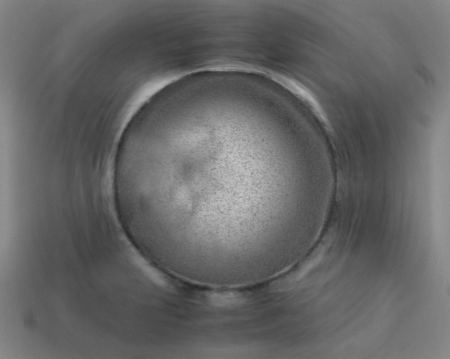 X0000114061231200910191454