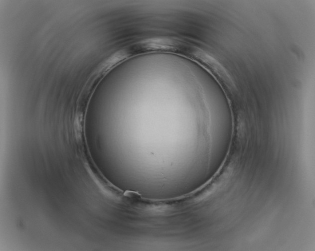 X0000114061233200910191454