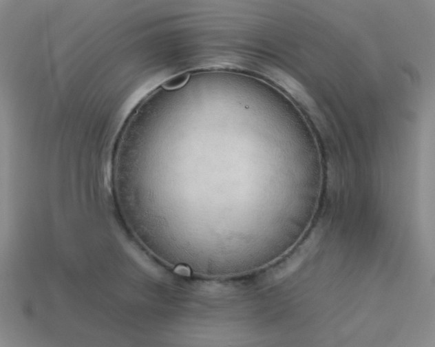 X0000114061234200910191454