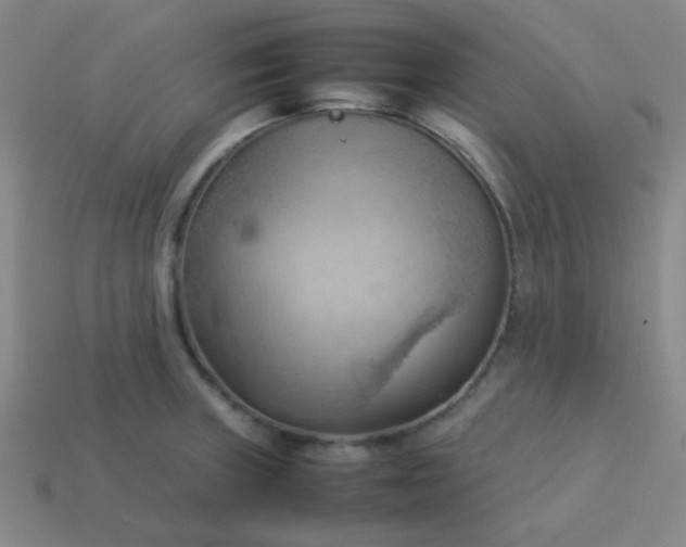 X0000114061235200910191454