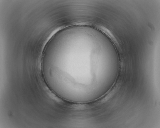 X0000114061236200910191454