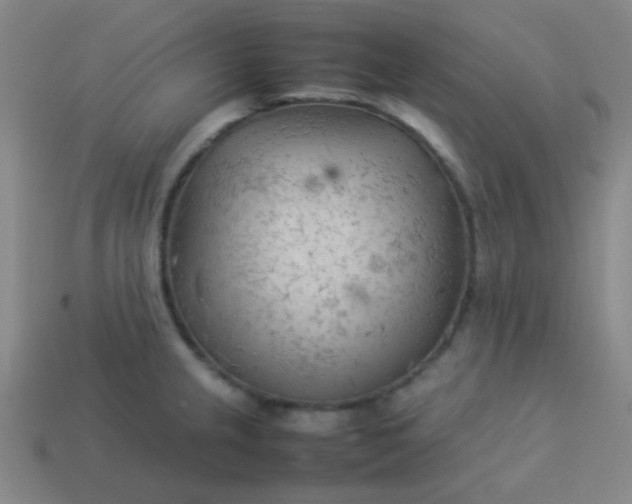 X0000114061237200910191454