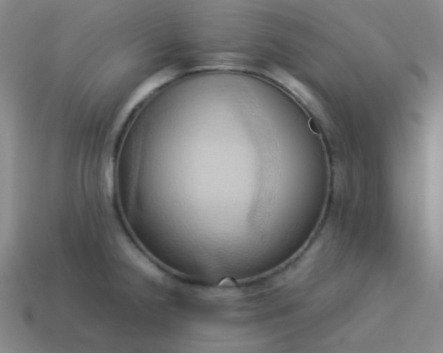 X0000114061238200910191454