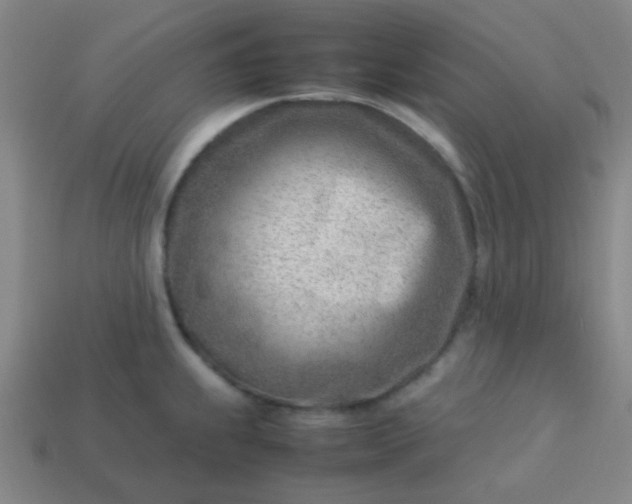 X0000114061239200910191454