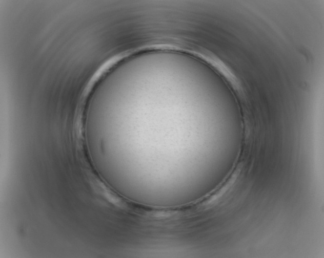 X0000114061240200910191454