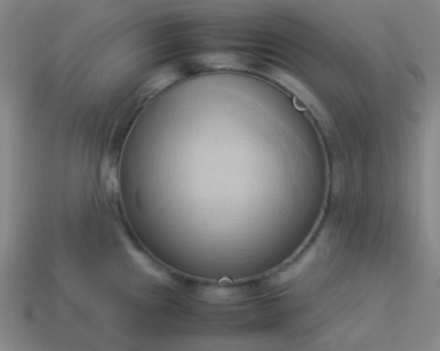 X0000114061241200910191454