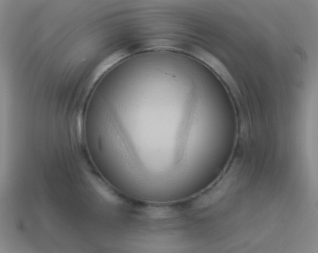 X0000114061242200910191454