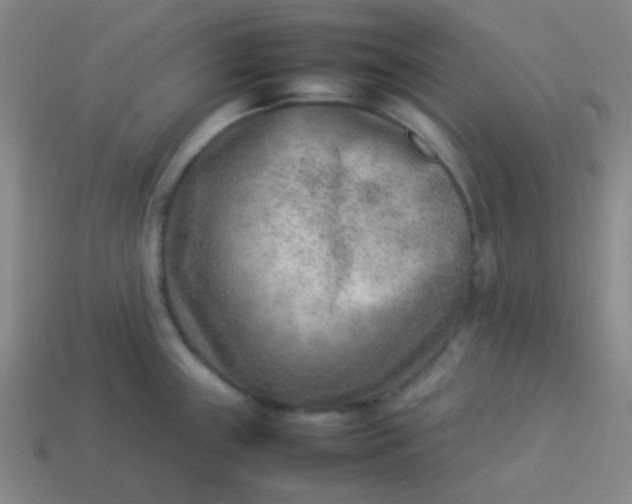 X0000114061243200910191454