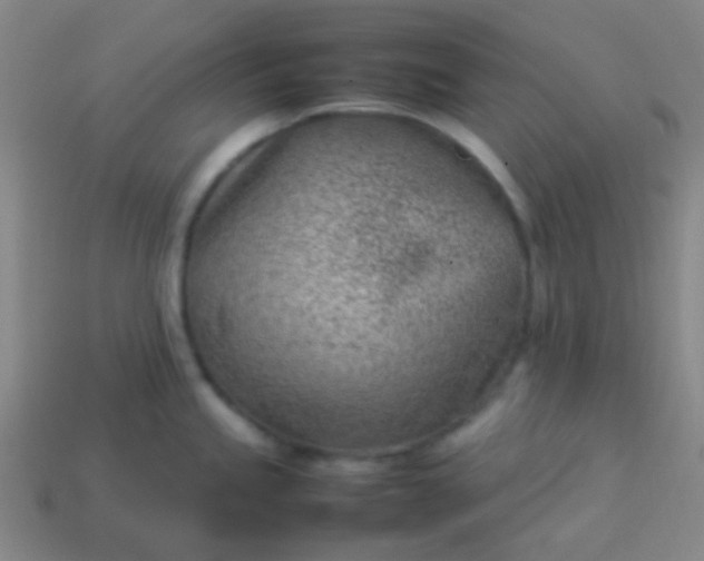 X0000114061245200910191454