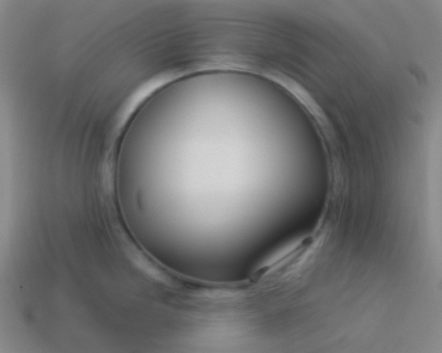 X0000114061246200910191454