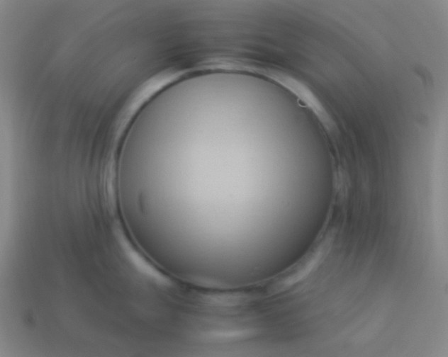 X0000114061247200910191454