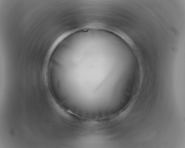 X0000114061248200910191454