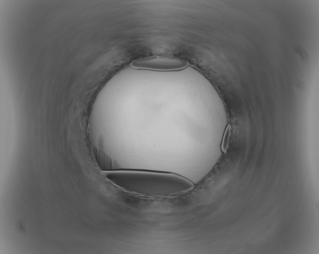 X0000114061249200910191453