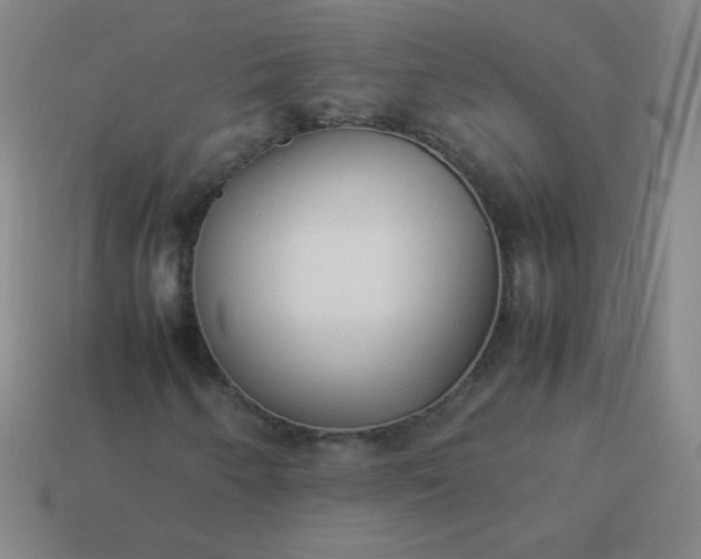 X0000114061250200910191453