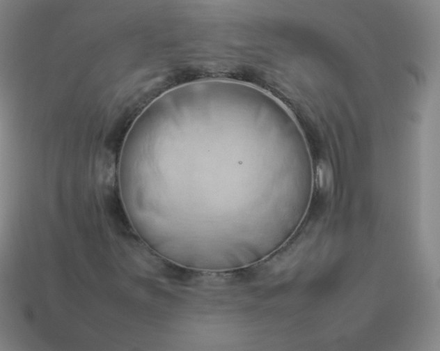 X0000114061251200910191453