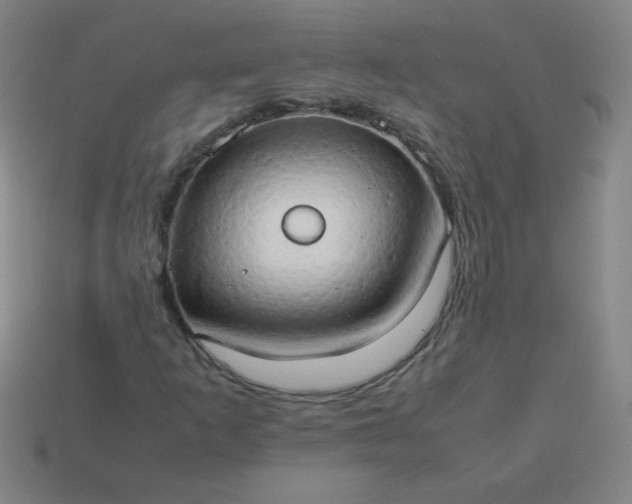 X0000114061253200910191453