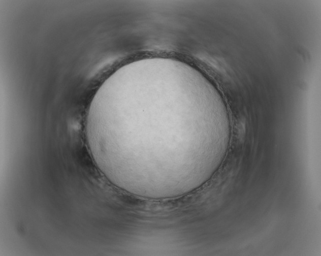 X0000114061254200910191453