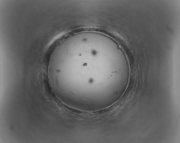 X0000114061255200910191453