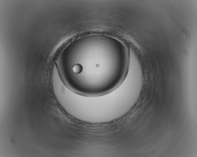 X0000114061256200910191453