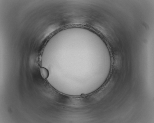 X0000114061258200910191453