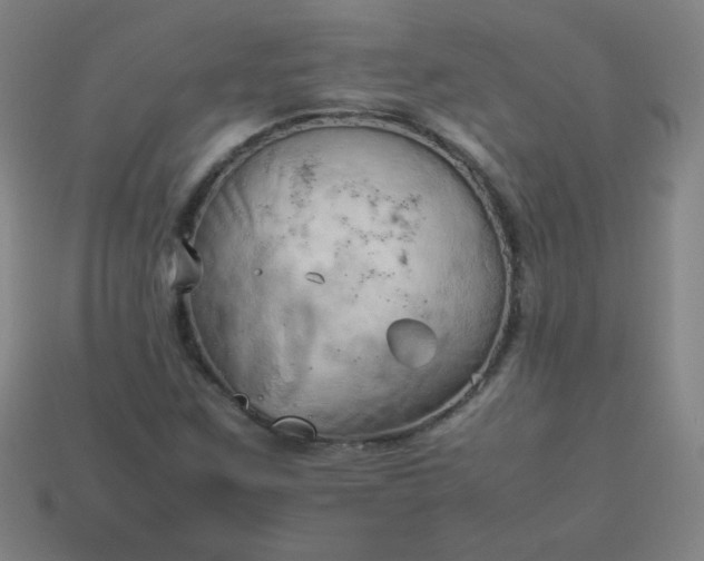 X0000114061259200910191453