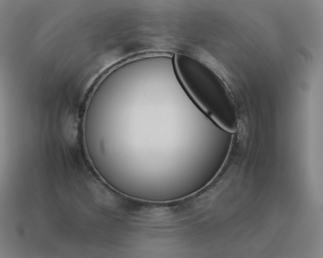 X0000114061260200910191453