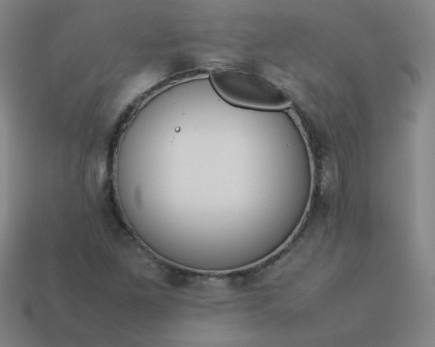 X0000114061261200910191453