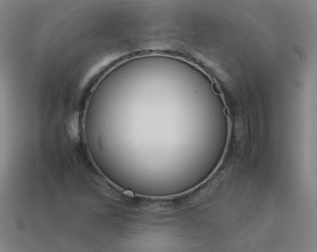 X0000114061262200910191453