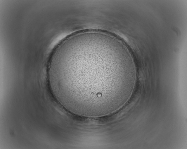 X0000114061263200910191453