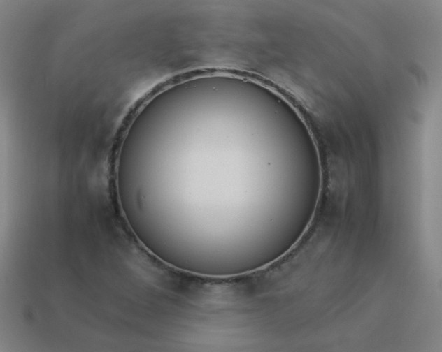 X0000114061264200910191453