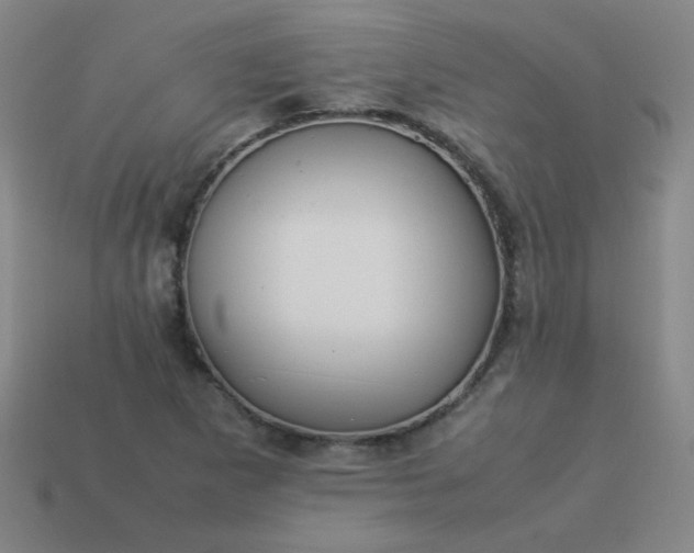 X0000114061265200910191453