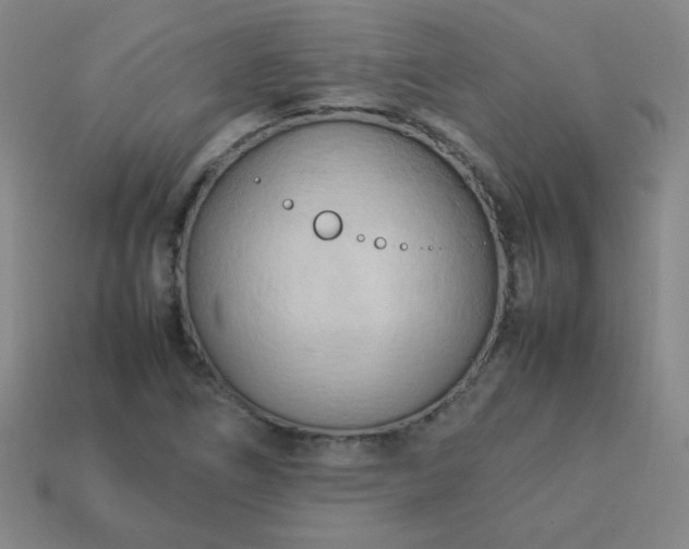 X0000114061266200910191453