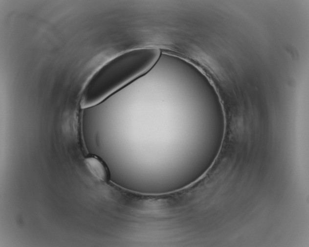 X0000114061268200910191453