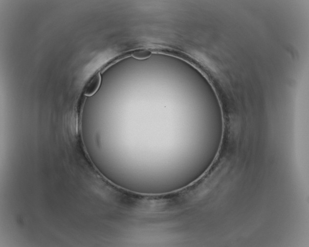 X0000114061269200910191453