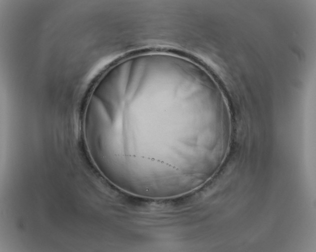 X0000114061271200910191453