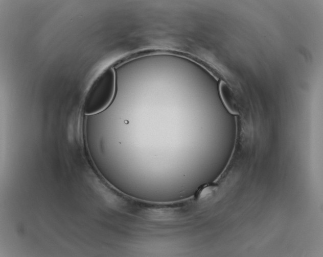 X0000114061272200910191453