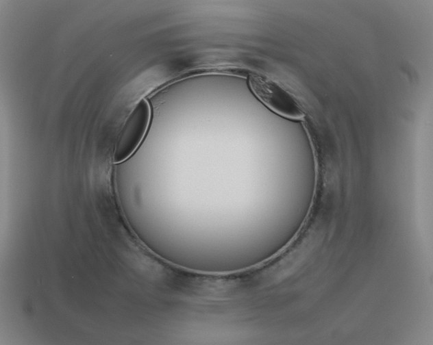 X0000114061273200910191453