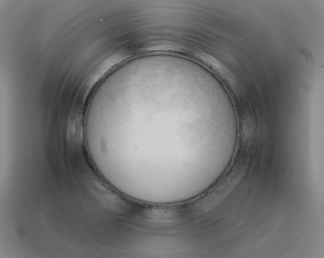 X0000114061274200910191453