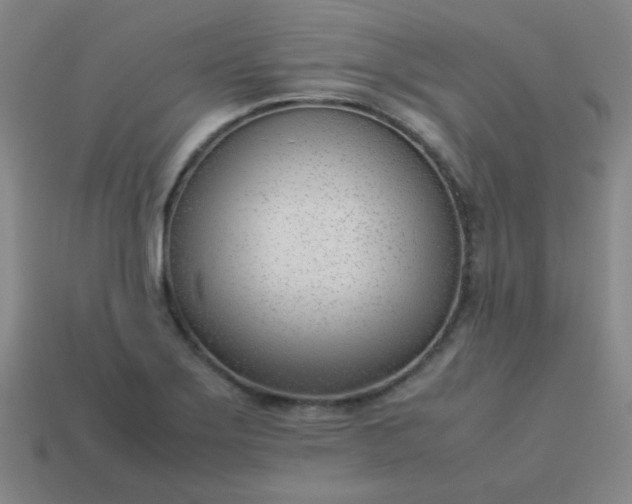 X0000114061275200910191453