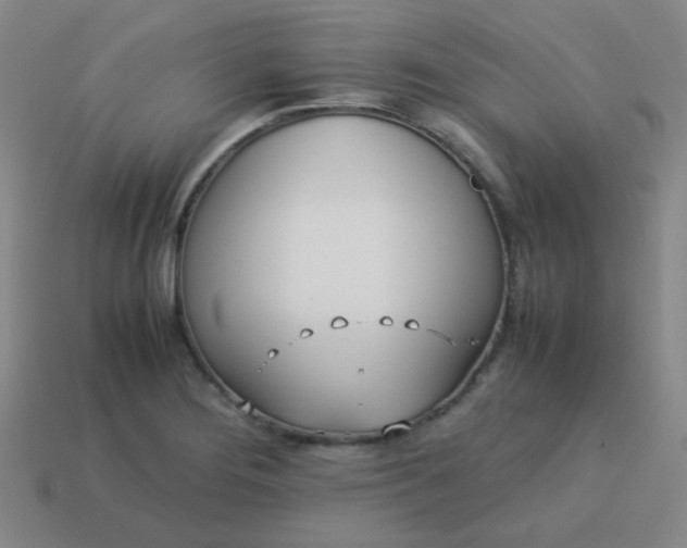 X0000114061276200910191453