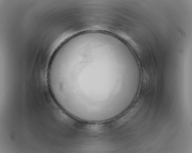 X0000114061278200910191453