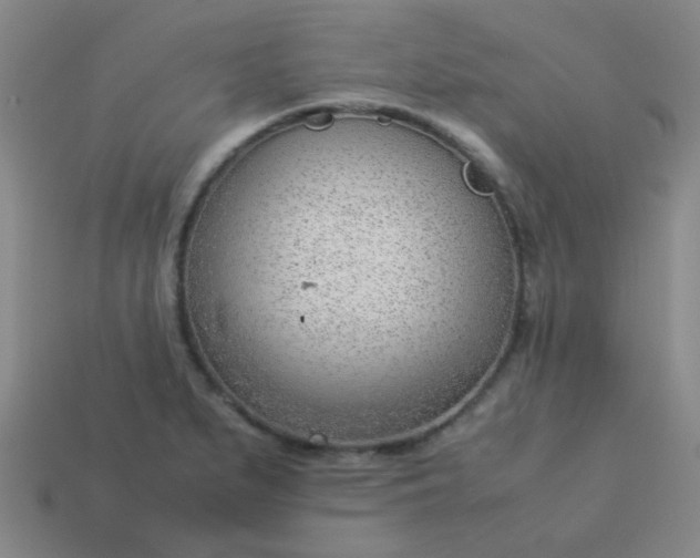 X0000114061279200910191453