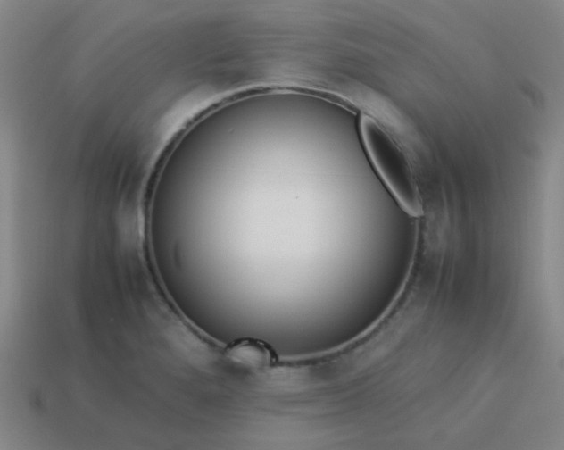 X0000114061280200910191453