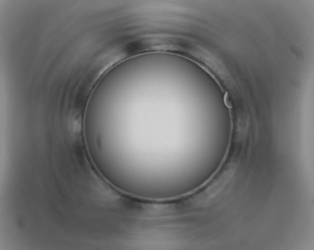 X0000114061281200910191453